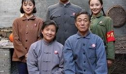 电视剧金婚风雨情在线观看,重温经典，共度风雨人生路