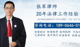 刑事专门律师在线观看,专业辩护，守护正义