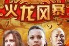 火龙风暴在线观看,在线观看，燃情风暴来袭！