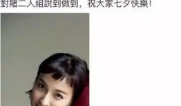 扒爷爆料精致姐姐视频,精致姐姐视频背后的惊人真相