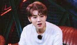 爆料鹿晗张艺兴视频合集,视频合集回顾