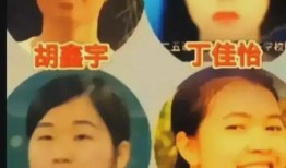 新闻爆料王冕事件是什么,揭秘网络舆论风暴背后的真相