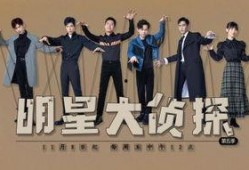 大侦探在线观看,揭秘神秘案件，探寻真相之旅