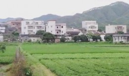 今日揭西爆料视频最新消息,视频揭露惊人真相，速来围观！