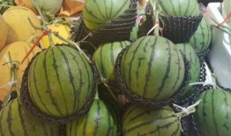 网红西瓜冰吃瓜,网红吃瓜达人带你领略夏日清凉