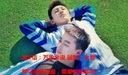 上瘾免费观看在线观看,免费观看背后的在线观看奥秘