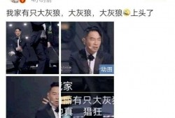 港星综艺爆料最新一期是哪一年,揭秘年度热门话题