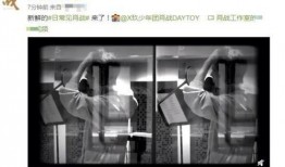 tsc工作室最新爆料,揭秘神秘项目，行业动态再掀波澜