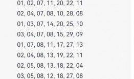 双色球网友爆料视频,网友爆料视频揭秘幕后真相