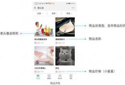 明星爆料操作指南最新,最新操作指南全解析