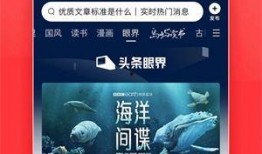 海南今日头条新闻爆料,揭秘神秘项目，投资热潮背后的真相揭晓