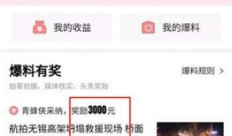 大连头条今日爆料最新,揭秘某神秘项目内幕，真相令人震惊！