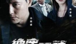 绝密跟踪在线观看,揭秘神秘追踪者的惊险之旅