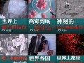 昆明最新八卦爆料新闻直播,揭秘网红直播背后的惊人真相！