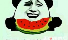 娱乐吃瓜君是个什么梗,揭秘娱乐圈那些鲜为人知的幕后故事