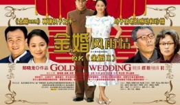 电视剧金婚风雨情在线观看,重温经典，共度风雨人生路