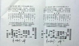 双色球网友爆料视频,网友爆料视频揭秘幕后真相