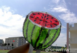 风筝在线观看西瓜,揭秘剧情高潮与情感纠葛