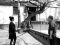沙河村最新爆料事件新闻,揭秘事件背后惊人真相