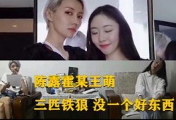 唐蔚华闺蜜爆料视频大全,真相与幕后故事全解析