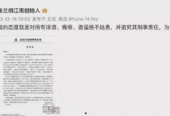 爆料芳姐说真话视频大全,芳姐说真话视频大全深度解析