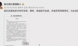 爆料芳姐说真话视频大全,芳姐说真话视频大全深度解析