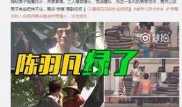 王子佼毁灭式爆料原视频,毁灭式爆料视频背后的惊人真相