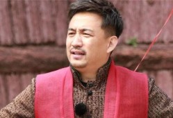 厨子黄磊爆料视频大全下载,厨子黄磊爆料视频大全下载解析