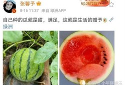 娱乐圈可以吃瓜,揭秘明星幕后故事，一起吃瓜！