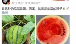 娱乐圈可以吃瓜,揭秘明星幕后故事，一起吃瓜！