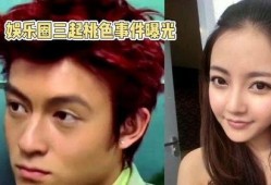 娱乐圈的一些爆料事件是什么,揭秘明星背后的真相与争议